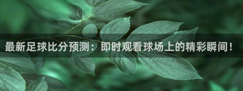最新足球比分预测：即时观看球场上的精