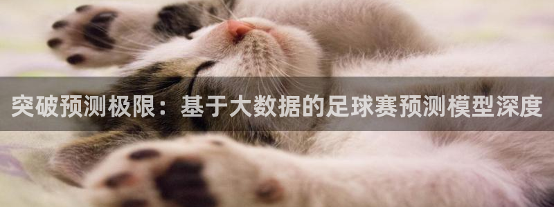 突破预测极限：基于大数据的足球赛预测