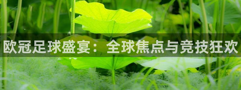  欧冠足球盛宴：全球焦点与竞技狂欢