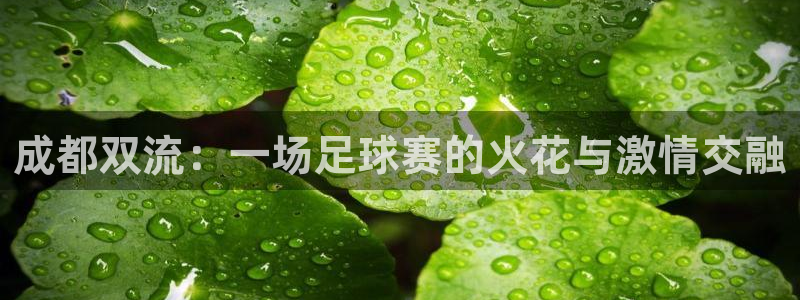  成都双流：一场足球赛的火花与激情交融