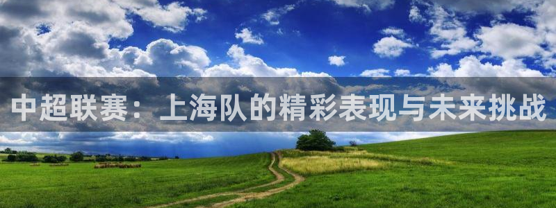 中超联赛：上海队的精彩表现与未来挑战