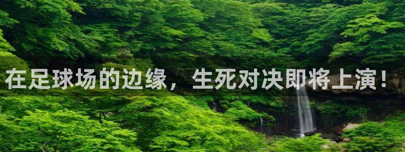  在足球场的边缘，生死对决即将上演！