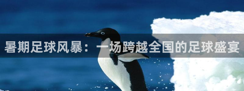  暑期足球风暴：一场跨越全国的足球盛宴