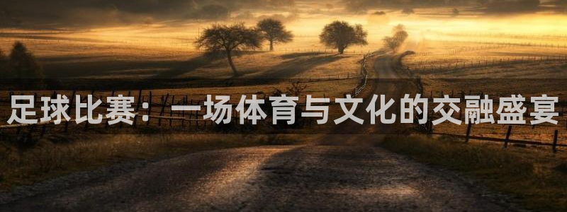 足球比赛：一场体育与文化的交融盛宴