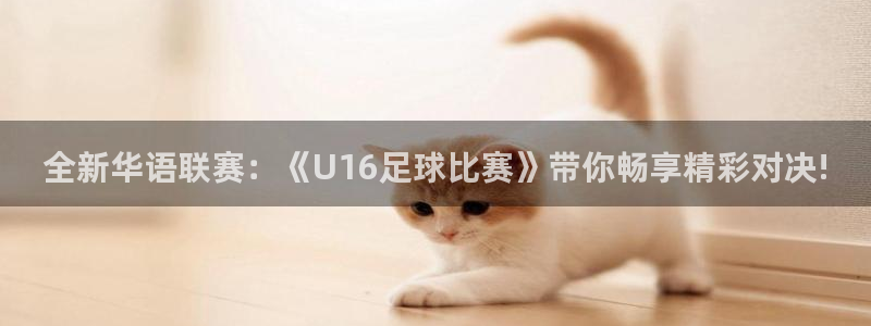 全新华语联赛：《U16足球比赛》带你畅享精彩对决!