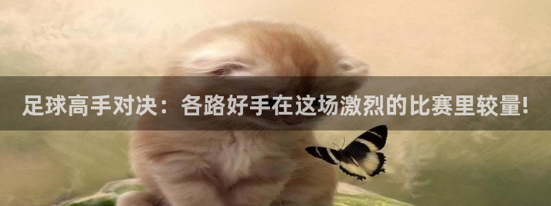  足球高手对决：各路好手在这场激烈的比赛里较量!