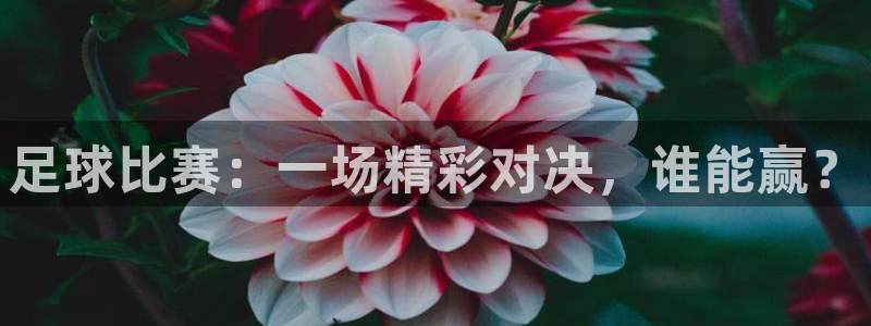 足球比赛：一场精彩对决，谁能赢？