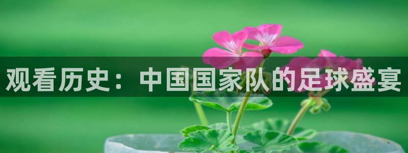观看历史：中国国家队的足球盛宴