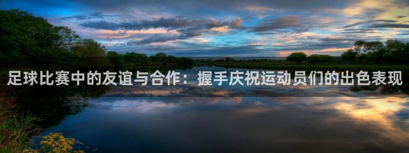  足球比赛中的友谊与合作：握手庆祝运动员们的出色表现