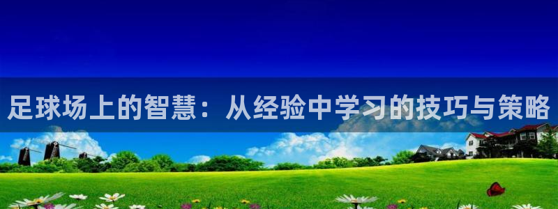 足球场上的智慧：从经验中学习的技巧与策略
