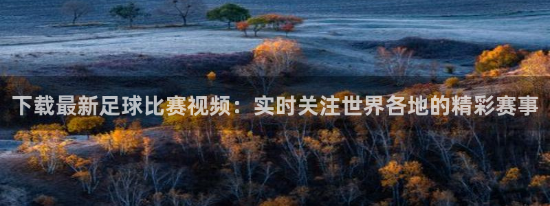 下载最新足球比赛视频：实时关注世界各地的精彩赛事