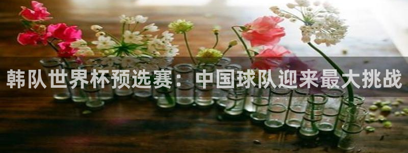 韩队世界杯预选赛：中国球队迎来最大挑战