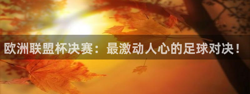 极速体育直极速体育直播软件：欧洲联盟杯决赛：最激动人心的足球对决！