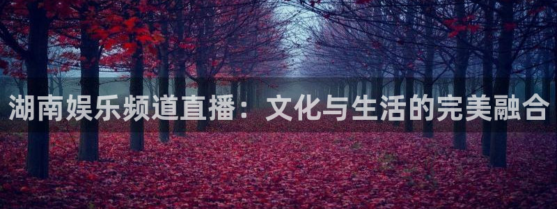 极速直播体育在线直播：湖南娱乐频道直播：文化与生活的完美融合
