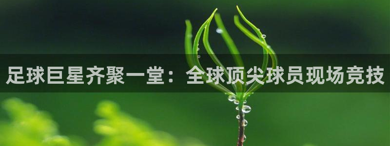 足球巨星齐聚一堂：全球顶尖球员现场竞