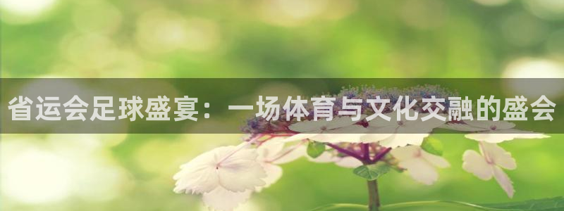省运会足球盛宴：一场体育与文化交融的