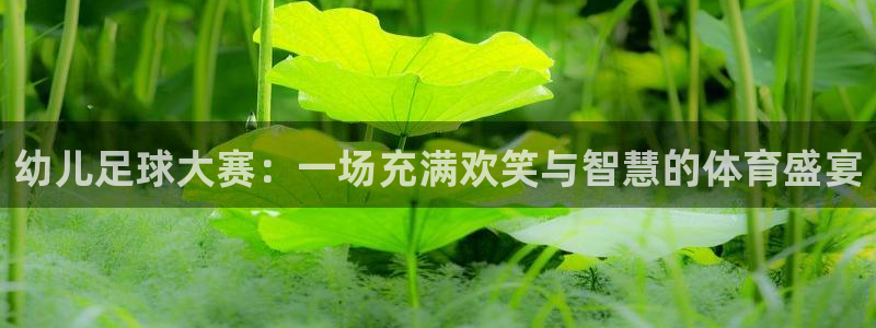 幼儿足球大赛：一场充满欢笑与智慧的体