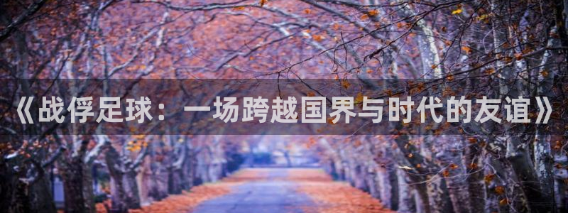 《战俘足球：一场跨越国界与时代的友谊