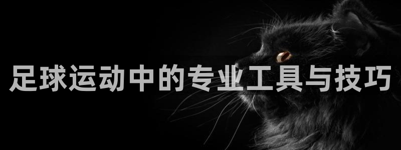 足球运动中的专业工具与技巧