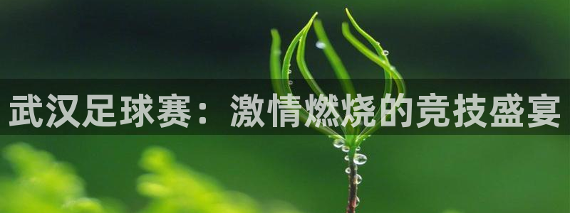 武汉足球赛：激情燃烧的竞技盛宴