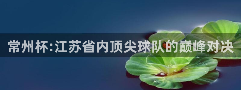  常州杯:江苏省内顶尖球队的巅峰对决