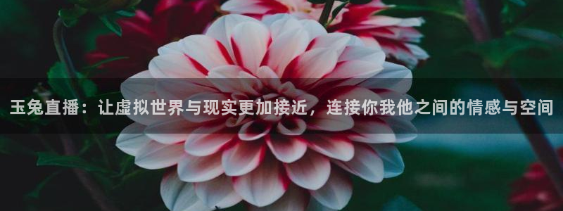 nba在线直播吧极速体育：玉兔直播：让虚拟世界与现实更加接近，连接你我他之间的情感与空间