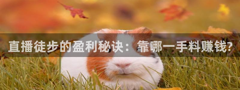 手机在线直播nba极速体育：直播徒步的盈利秘诀：靠哪一手料赚钱?
