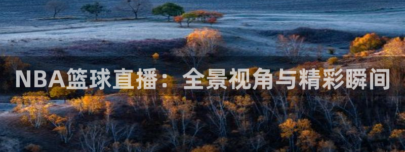 nba直播吧极速体育吧：NBA篮球直播：全景视角与精彩瞬间